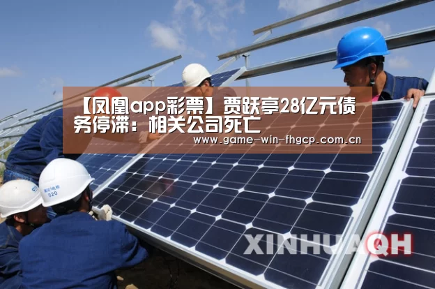 【凤凰app彩票】贾跃亭28亿元债务停滞:相关公司死亡(图3) 凤凰app彩票